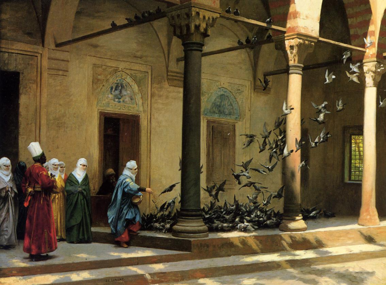 Plight of the Pigeon